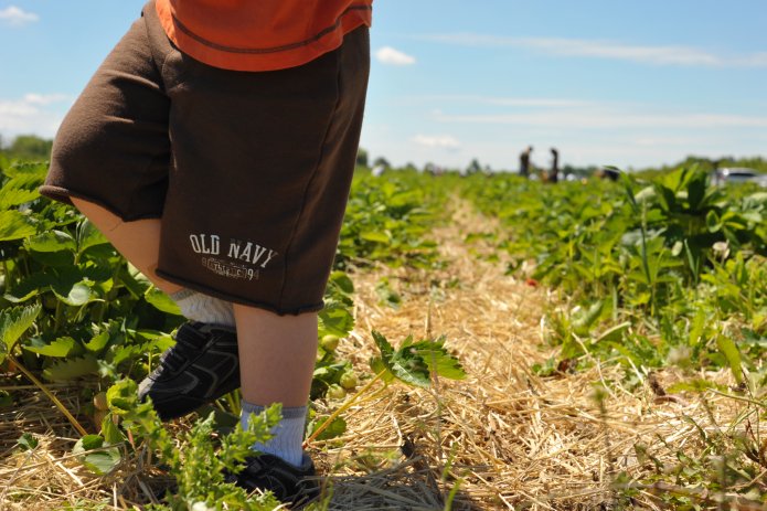 4691002477_5b5f45411e_o