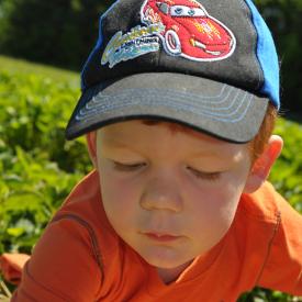 4691634882_7040265056_o