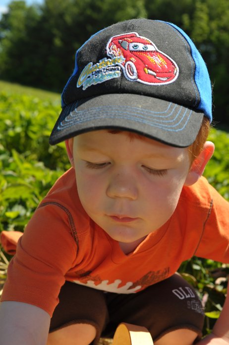 4691634882_7040265056_o