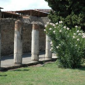 230978933_1a40a4dfa8_o