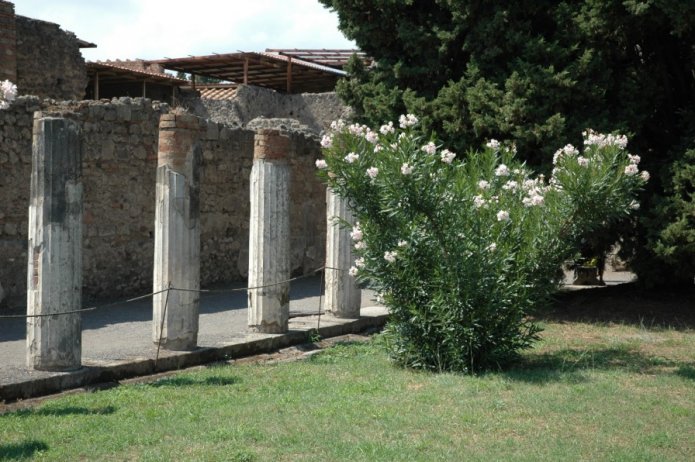 230978933_1a40a4dfa8_o