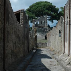 230978987_41256f9da6_o