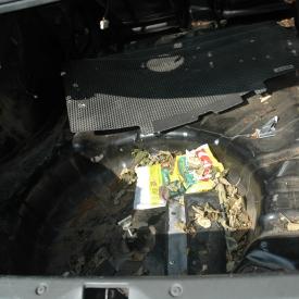 245631563_da223f6fab_o