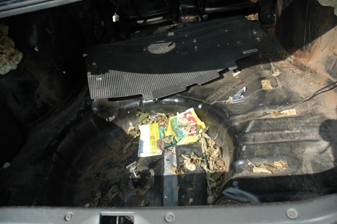 245631563_da223f6fab_o