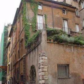 230493979_b0c9f2ed11_o