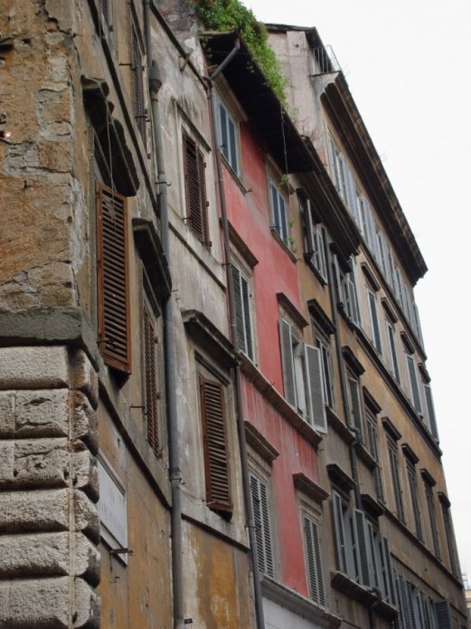 230494040_e96b8b1601_o