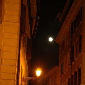 230495147_50319edf96_o