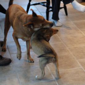 257550750_e0ac162ed0_o