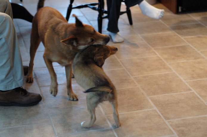 257550750_e0ac162ed0_o