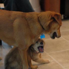 257551224_2cbb0718ec_o