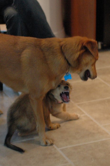 257551224_2cbb0718ec_o