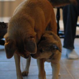 257551676_e5af933cd5_o