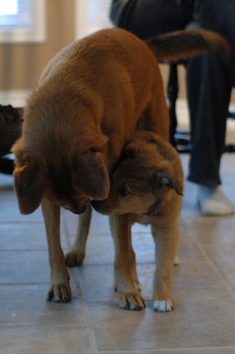 257551676_e5af933cd5_o