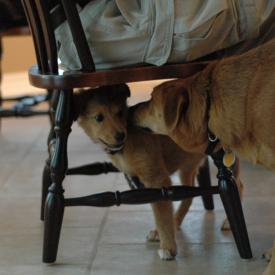 257552175_a87c3932c0_o