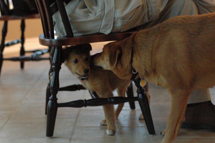 257552175_a87c3932c0_o