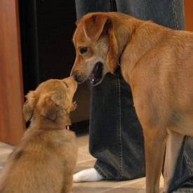 257552690_a893b333b3_o