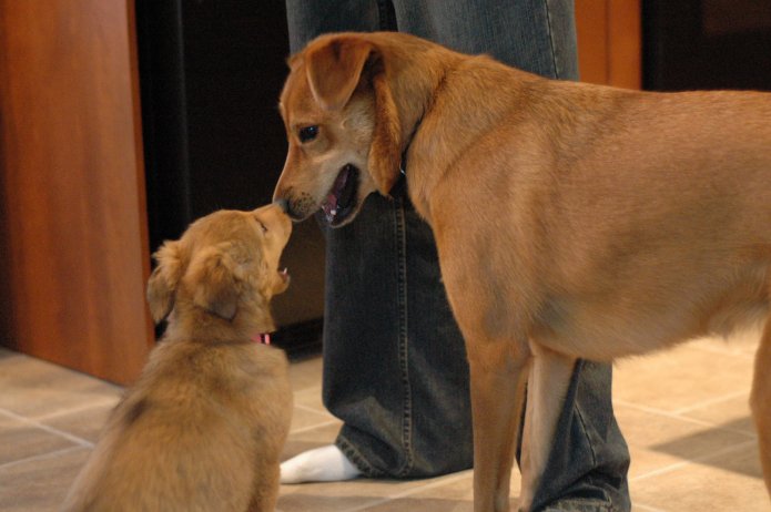 257552690_a893b333b3_o