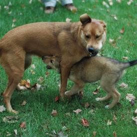 257553004_78ec590b1e_o