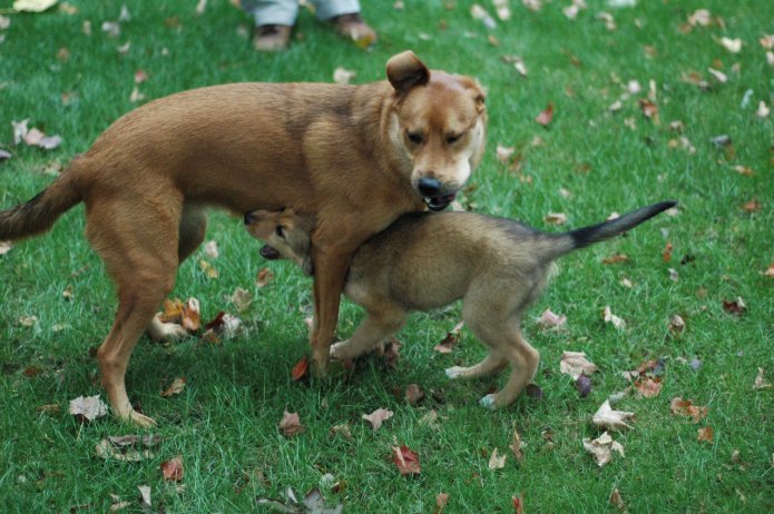 257553004_78ec590b1e_o