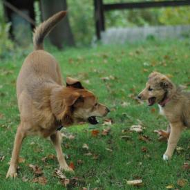 257553595_1fd74b395d_o