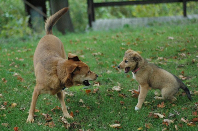 257553595_1fd74b395d_o