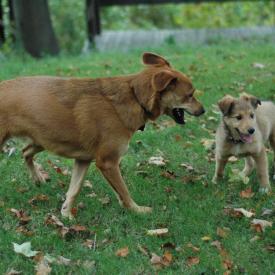 257553873_d5a1a26865_o