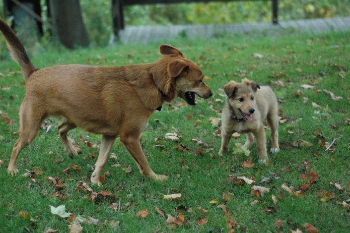 257553873_d5a1a26865_o