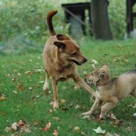 257554196_6f07adea37_o