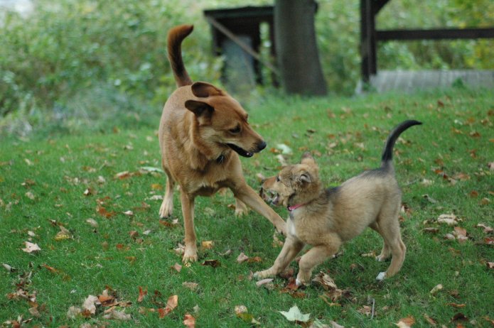 257554196_6f07adea37_o