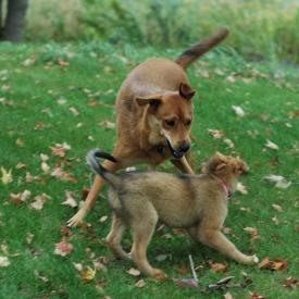 257554695_4f061850d6_o