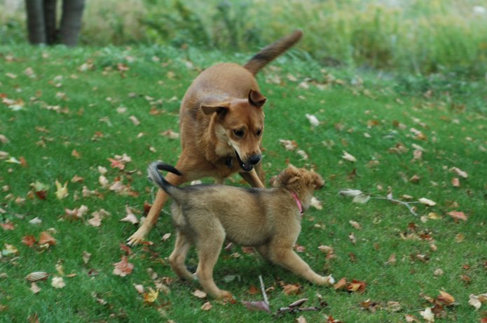 257554695_4f061850d6_o