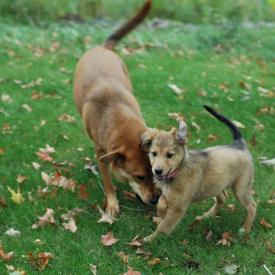 257555071_0deab23e9d_o