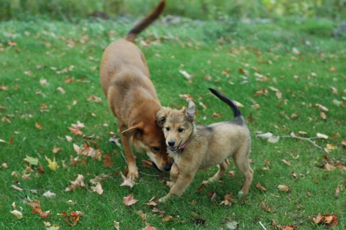 257555071_0deab23e9d_o