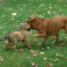 257555557_57069b37c1_o