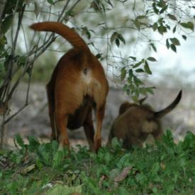 257555998_10a1deb208_o