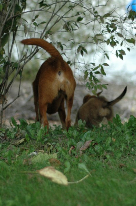 257555998_10a1deb208_o