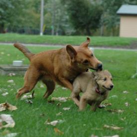 257556452_0474843142_o