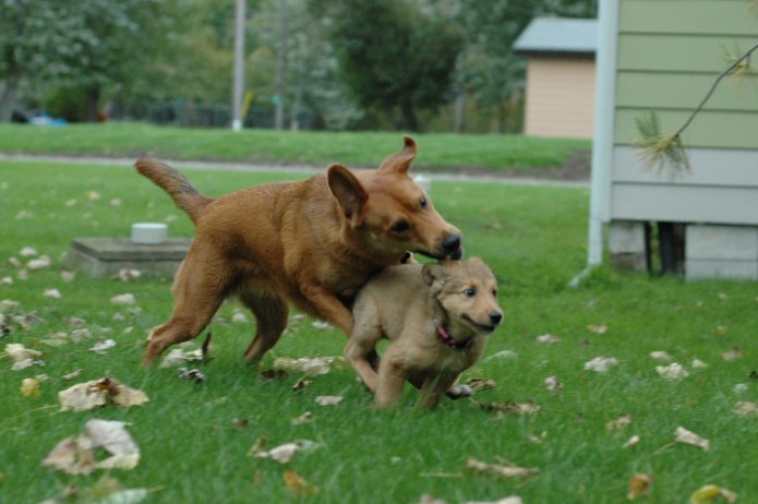 257556452_0474843142_o