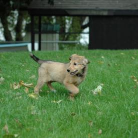 257556807_edaa89cf3e_o