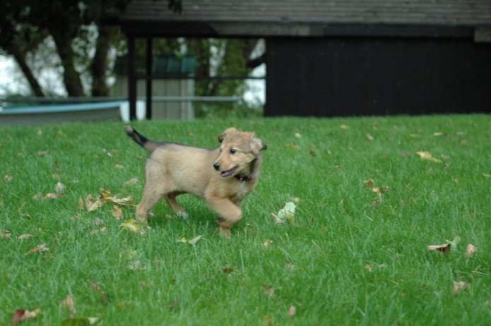 257556807_edaa89cf3e_o