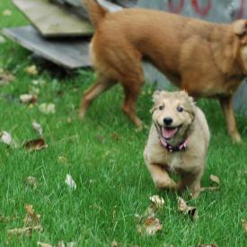 257557316_d5a22ad30c_o