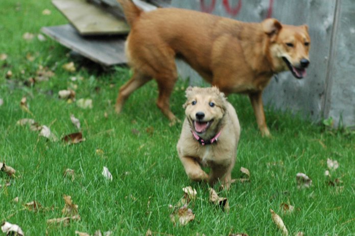 257557316_d5a22ad30c_o