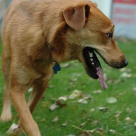 257557641_38ae2b8b41_o