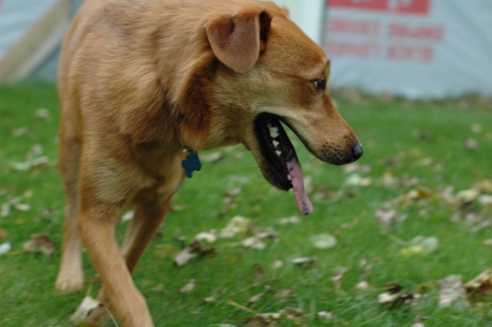 257557641_38ae2b8b41_o