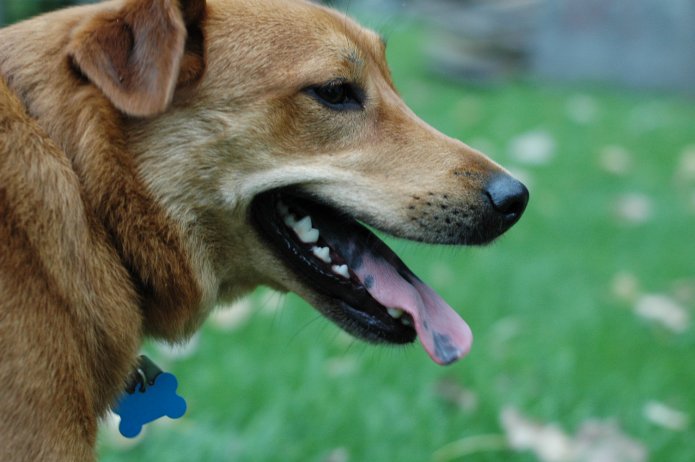 257558010_e5a3f6a917_o