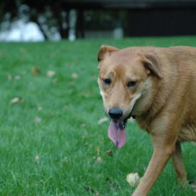 257558384_93a5835740_o