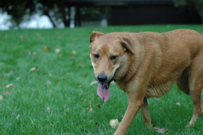 257558384_93a5835740_o