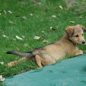 257558711_33d3c5a398_o