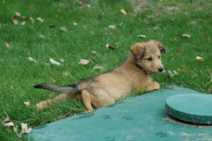 257558711_33d3c5a398_o