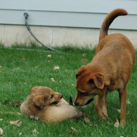 257559247_7dae2ee882_o